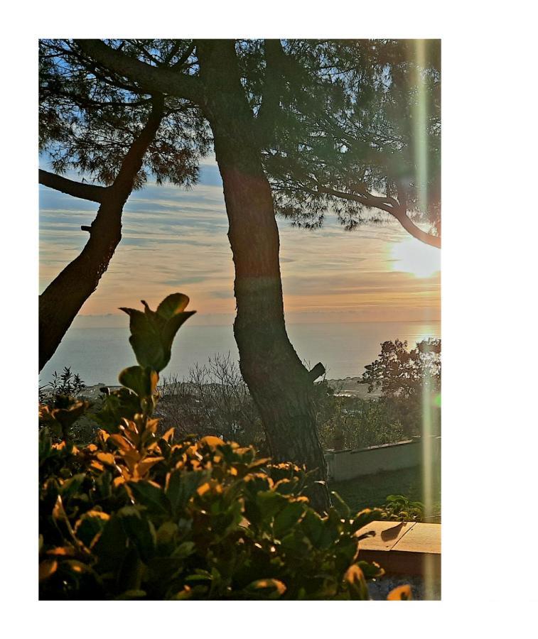 B&B Ioli Vesuvio Ερκολάνο Εξωτερικό φωτογραφία