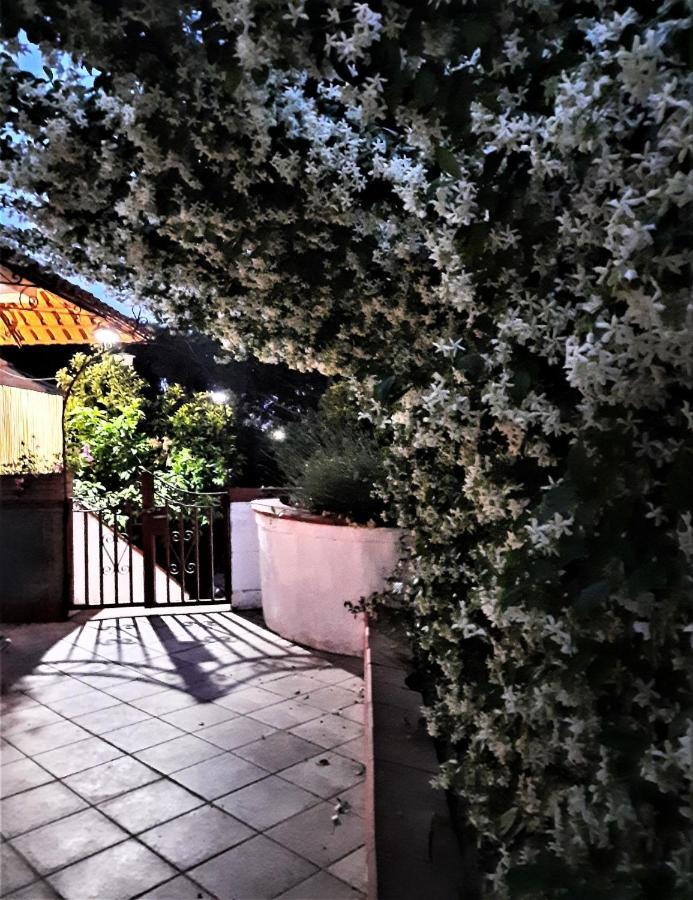 B&B Ioli Vesuvio Ερκολάνο Εξωτερικό φωτογραφία