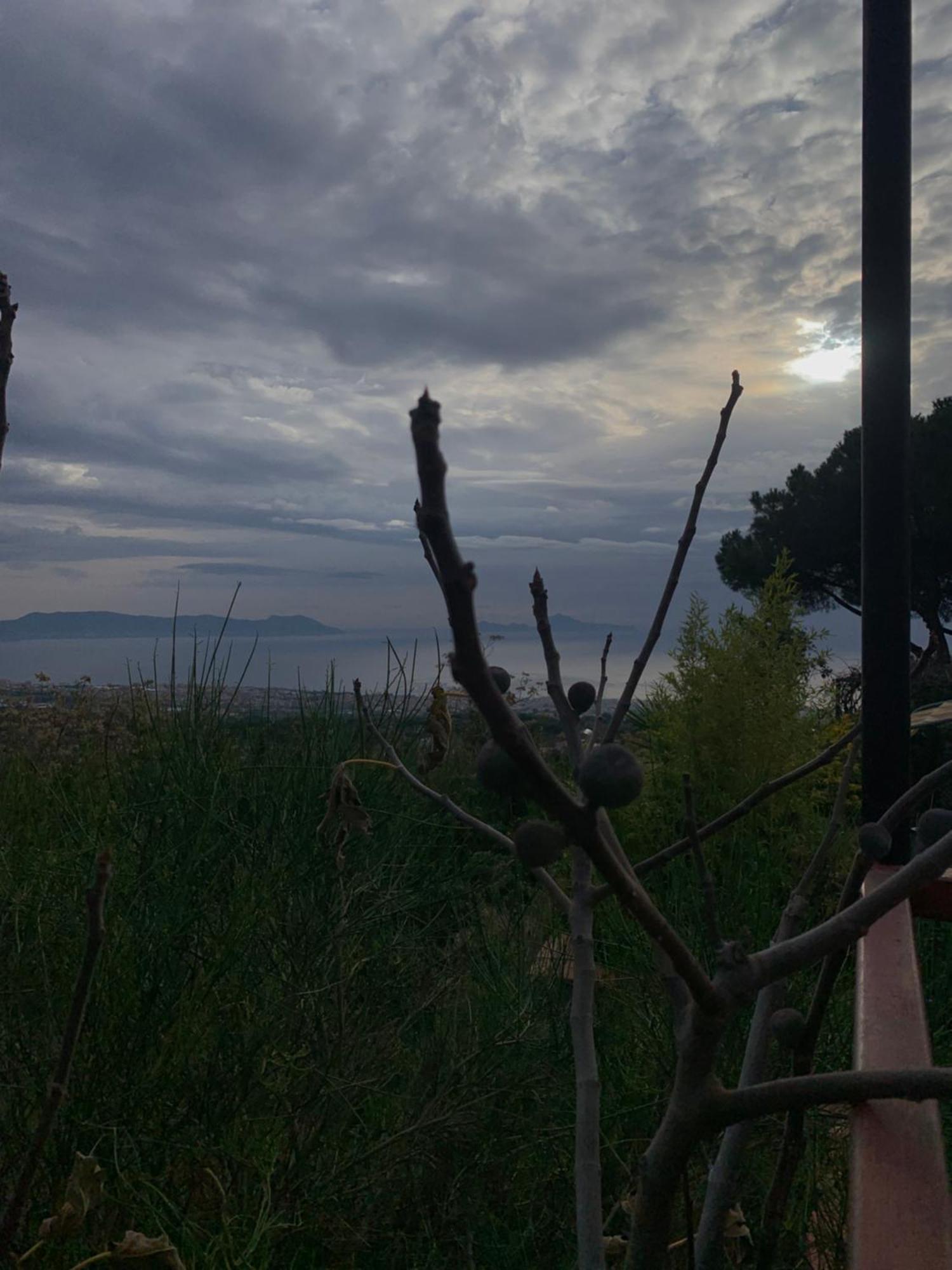 B&B Ioli Vesuvio Ερκολάνο Εξωτερικό φωτογραφία