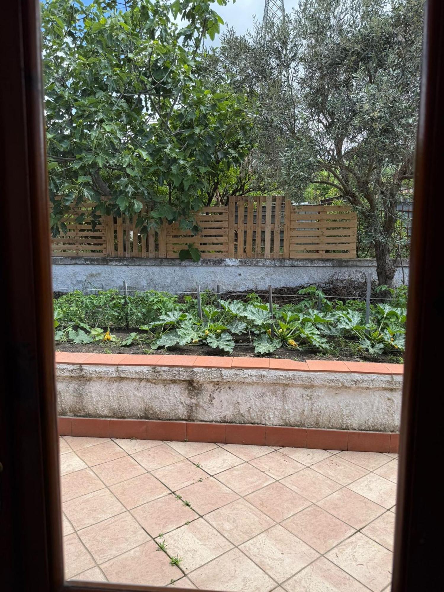 B&B Ioli Vesuvio Ερκολάνο Εξωτερικό φωτογραφία